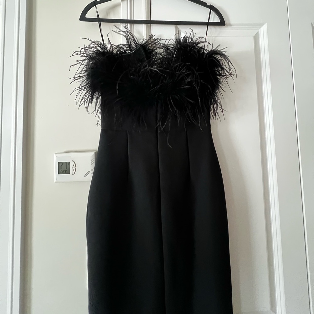 Lisa Marée Art of Silence Feathered Maxi Dress - Picture 6 of 10